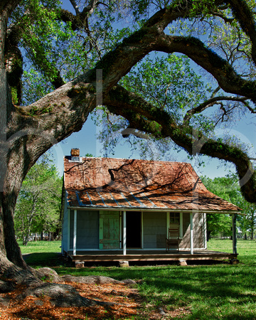 The doctors house with it's rusty tin roof sits in the shade at oaklawn plantation, cane river heritage area, natchitoches, in this commercial architectural photgraph by brian buckner photography.