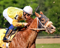 A jockey uses the crop to whip his racehorse faster while dirt flys through the air in this commercial horse racing photograph by Brian Buckner Photography, Shreveport, Louisiana.