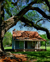 The doctors house with it's rusty tin roof sits in the shade at oaklawn plantation, cane river heritage area, natchitoches, in this commercial architectural photgraph by brian buckner photography.