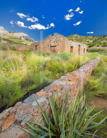 The remnants of a stone house surrounded by red cactus blooms, stone walls and yucca sit at the foothills of the western exposure of the Sandia Mountains under a blue sky with white puffy clouds in Al