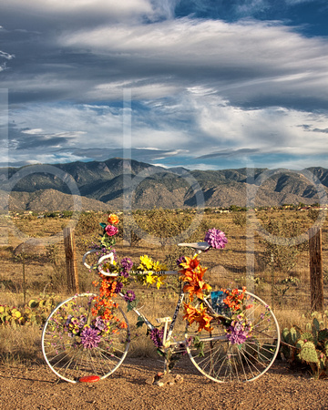 A bright yellow bicycle has been decorated with flowers as a memorial to it's lost rider along a road leading from the high-desert into the Sandia Mountain foothills under a beautiful late afternoon s